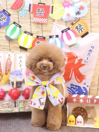 20240730こじろうくん